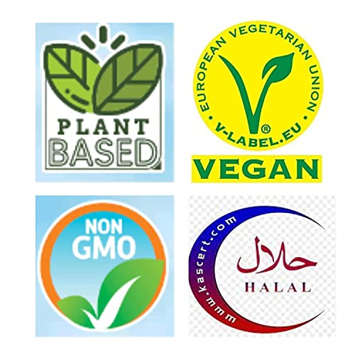 Otto Nuts - Dry Roasted Turkish Chickpeas with Sea Salt, Non-GMO...