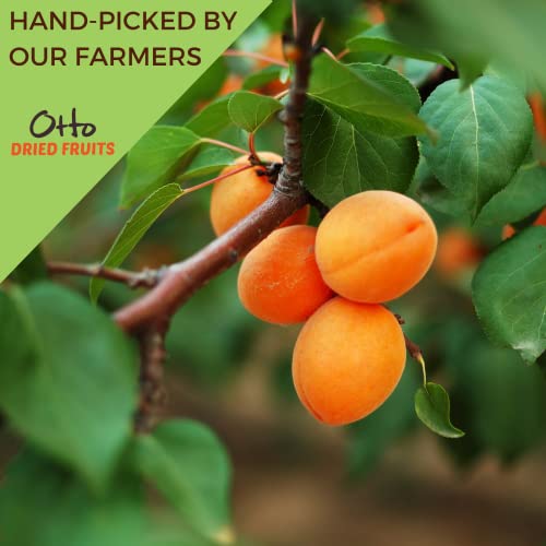 Otto Sun Dried Turkish Apricots, Non-GMO Snack, Naturally Vegan ...