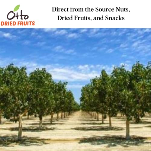 Otto Sun Dried Turkish Apricots, Non-GMO Snack, Naturally Vegan ...