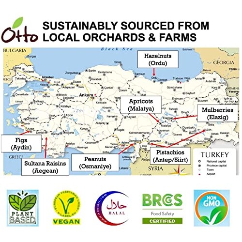 Otto Sun Dried Turkish Apricots, Non-GMO Snack, Naturally Vegan ...