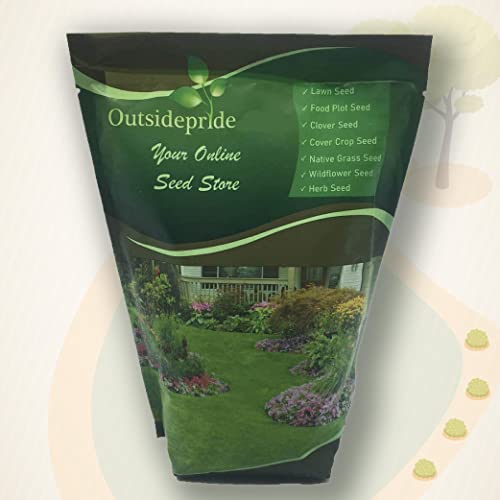 Outsidepride Foeniculum Vulgare Fennel Herb Garden Plants Where ...