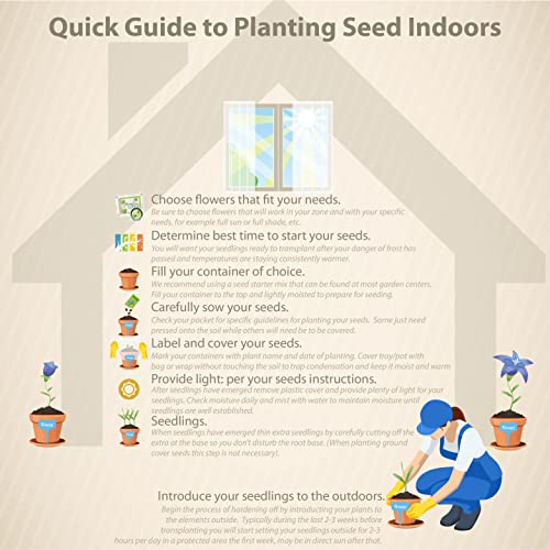 Outsidepride Foeniculum Vulgare Fennel Herb Garden Plants Where ...