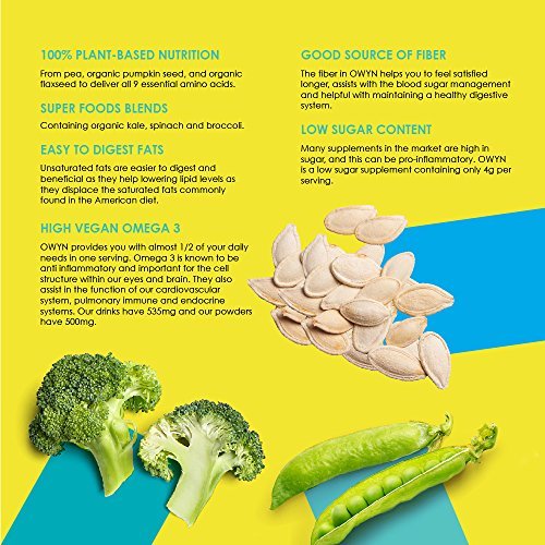 Owyn, Vegan Protein Shake, Dark Chocolate,12 Fl Oz Pack Of 12,