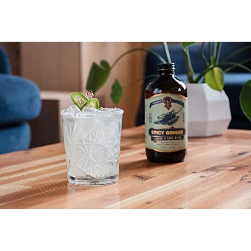 Portland Syrups Spicy Ginger Syrup 16Oz 1 Pack