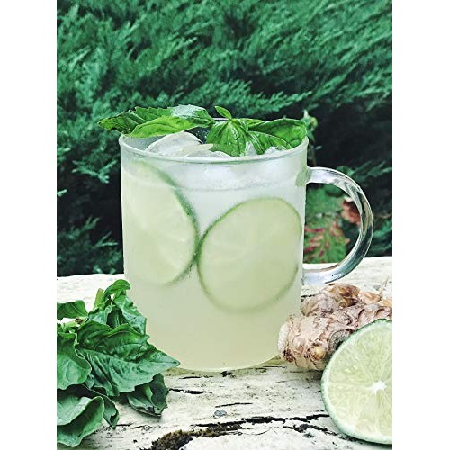 Portland Syrups Spicy Ginger Syrup 16Oz 1 Pack