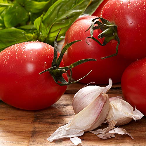 Paesana Traditional Roasted Garlic Pasta Sauce — Gluten Free, Ve