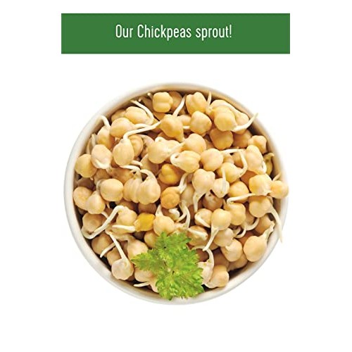 Dried Chickpeas | Garbanzo Beans Dry | Family Farmed in Washingt...