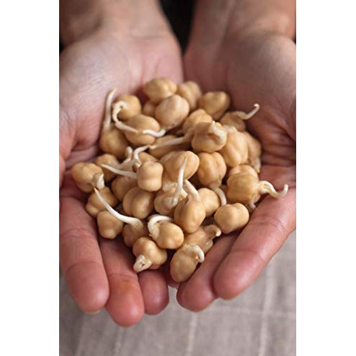 Garbanzo Beans • Chickpeas • Non-Gmo Project Verified • 4 Lb • 1