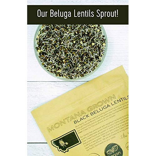Grown In Montana Black Beluga Lentils • 4 Lb Resealable Bag • No