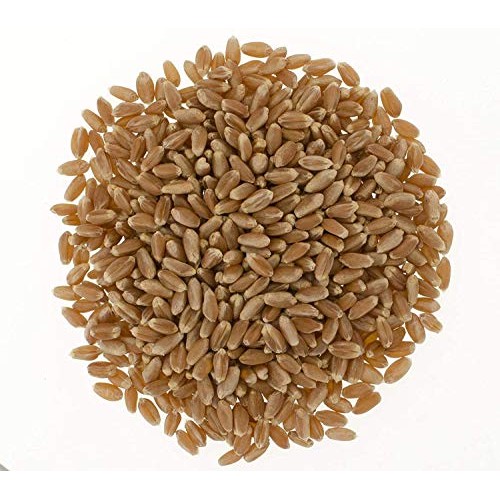 Hard Red Spring Wheat Berries • Non-Gmo Project Verified • 5 Lbs