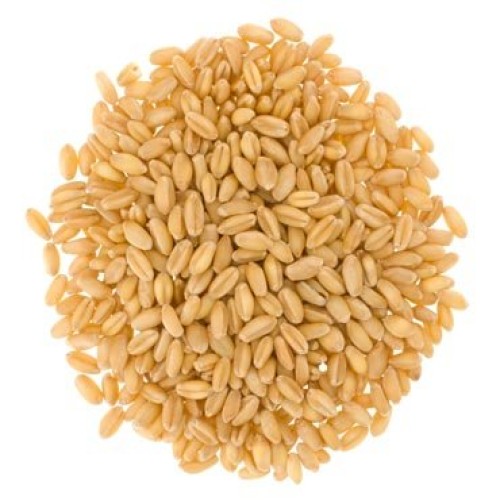 Hard White Wheat • Soft White Wheat • Hard Red Spring Wheat • No
