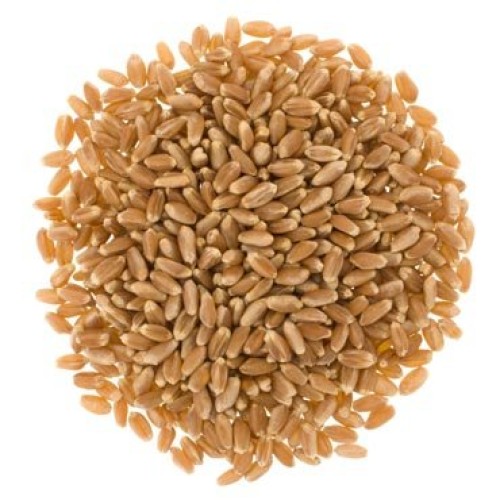 Hard White Wheat • Soft White Wheat • Hard Red Spring Wheat • No