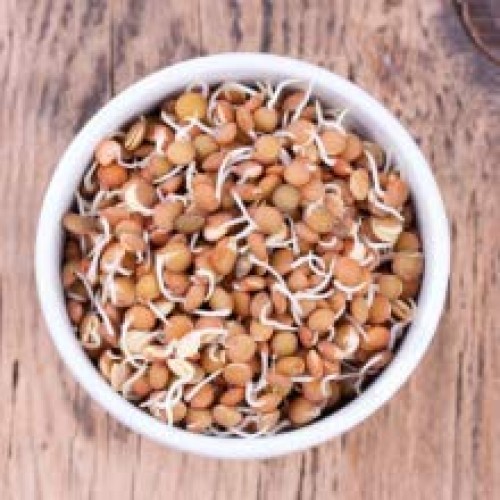 Non-Gmo Project Verified Pardina Lentils Small Brown Lentils |