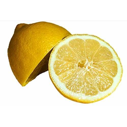 Papa Steves No Junk Raw Protein Bars,Lemon Cashew 2.2 Oz, 10 Count