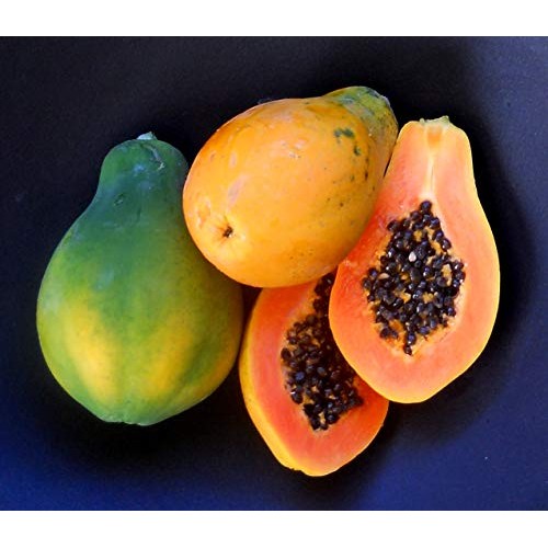 50 Papaya Séẹds - Hawaiian Strawberry Papaya Séẹds For Gardening