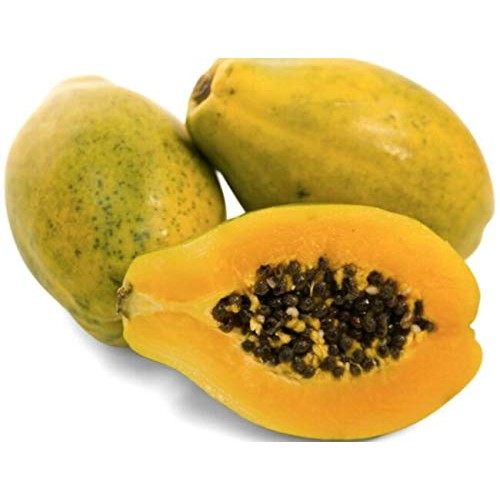 Papcool Papaya Sẹẹds For Plạnting 100 Big Island Hawaiian Solo P