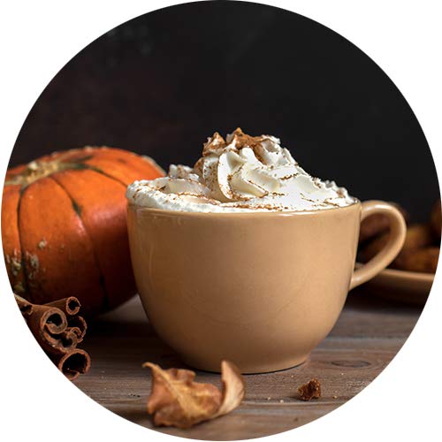 Paramount Roasters Coffee Pumpkin Pie Flavored Ground Coffee, 1