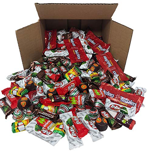 Bulk Assorted Chocolate Candy Bars Minis, Individually Wrapped V