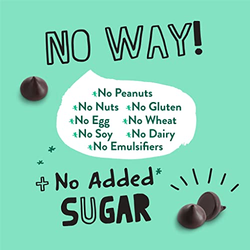 Pascha Bulk Organic Chocolate Chips Bulk Keto Baking Chips 10 ...