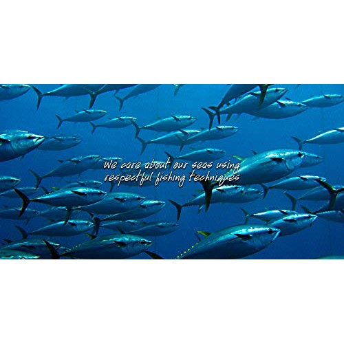 Pay Pay | Combo Pay 5 | 5 Varieties Seafood | 5 Tuna ● 5 Sardine