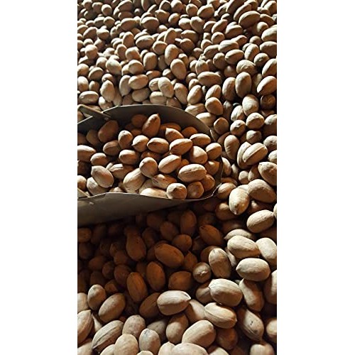 In-Shell Georgia Pecans 5 lb