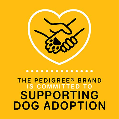 Pedigree Complete Nutrition Adult Dry Dog Food Grilled Steak &Amp; V