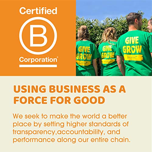 Peeled Snacks Organic Dried Fruit, Mango, 2.8 Ounce Pack Of 12