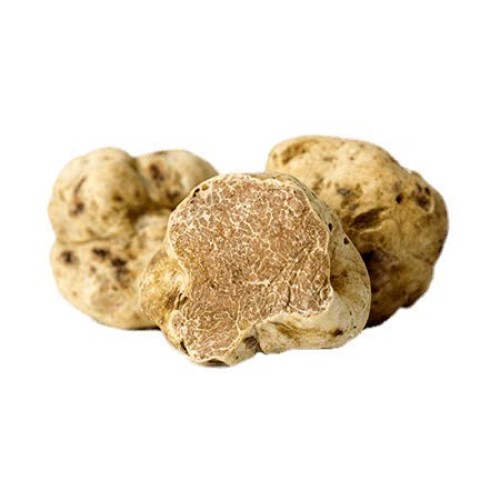 White Truffle Tuber Borchii Luxury Gourmet Food Sauce Pasta, Ide