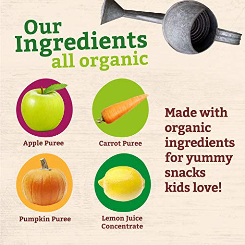 Peter Rabbit Organics Apple, Carrot And Pumpkin Puree, 4.4-Ounce