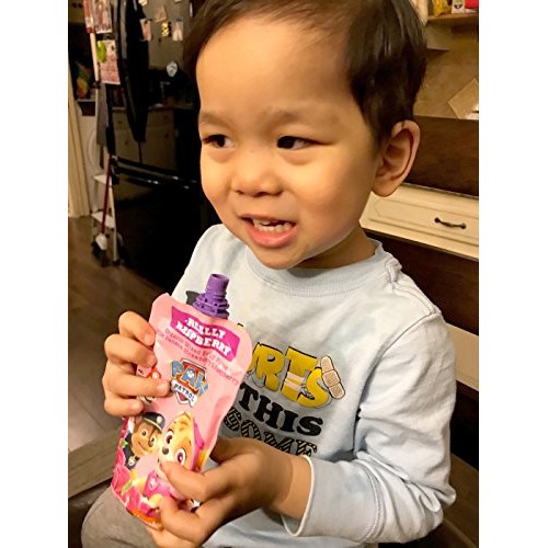 Paw Patrol Really Raspberry Organic Mixed Fruit Squeeze Pouch, 3