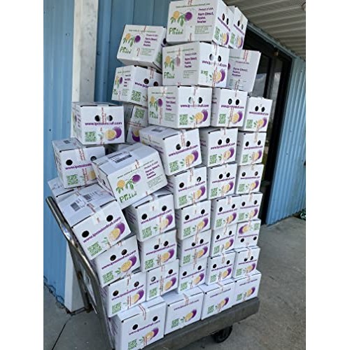 Pf Farm Mix Size Dark Purple Fresh Ripe Passion Fruit Florida No