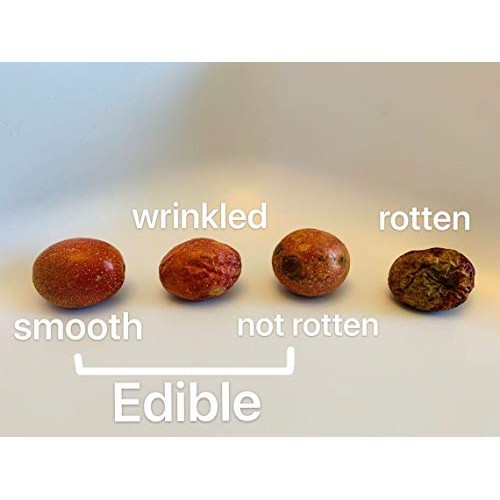 Pf Farm Mix Size Dark Purple Fresh Ripe Passion Fruit Florida No