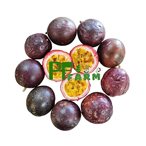 Pf Farm Mix Size Dark Purple Fresh Ripe Passion Fruit Florida No
