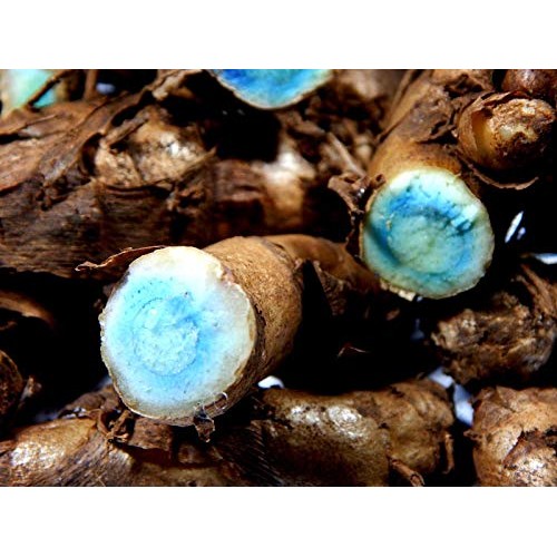 Siddha Very Rare Farm Fresh Kali Haldi Black Turmeric Curcuma Ca...