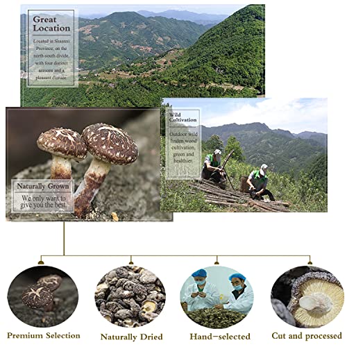 Dried Shiitake Mushrooms 16 Oz（500g）Rehydrate Quickly,Soft Tex...