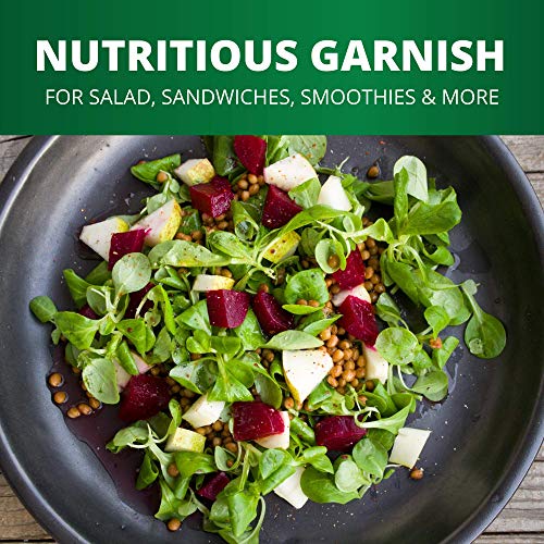 Pickerfresh Pickled Beets - Crinkle Cut Sliced Beetroot - Simple