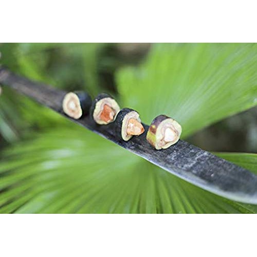 Pili Hunters The Original Pili Nut Butter Hazelnut Spread, As Se