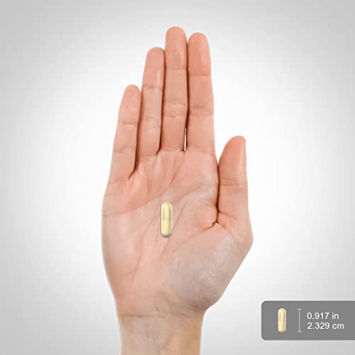 Piping Rock Apple Pectin Capsules 1950 mg | 150 Count | Dietary ...