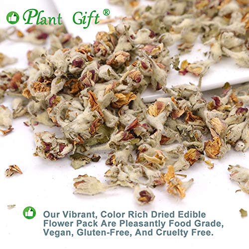 Plant Gift Apple Blossom Flower Tea, Organic Dried Apple Flower