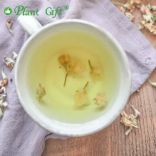Plant Gift Apple Blossom Flower Tea, Organic Dried Apple Flower
