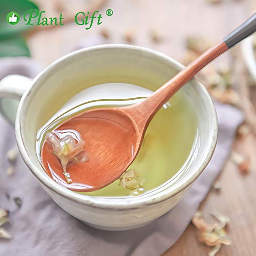 Plant Gift Apple Blossom Flower Tea, Organic Dried Apple Flower