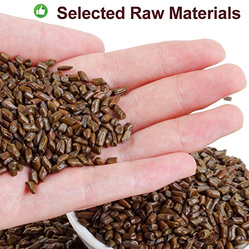 Plant Gift Cassia Angustifolia Tea, 决明子 Chinese Herbal Medici...