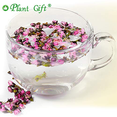 Plant Gift Dried Peach Blossom Flower Tea, Dried Peaches Flower,
