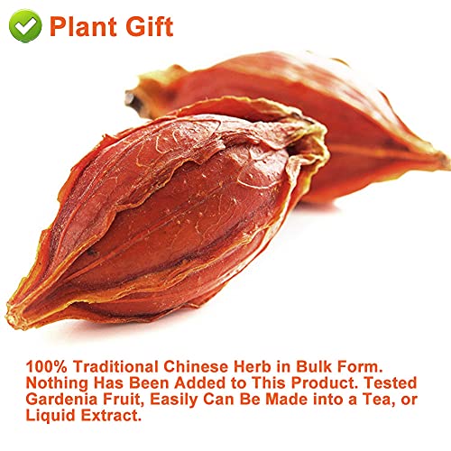 PlantGift Gardenia Fruit 100G/3.52oz Chinese Herbal Tea Yellow G...