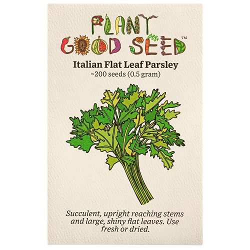 Italian Flat Leaf Parsley Seeds - Pack of 200, Certified Organic...