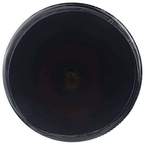 Plant Perfect Mayo Dressing & Spread, 12 FZ