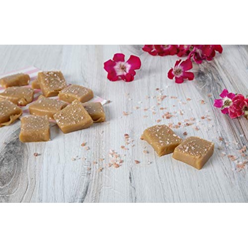 Plant Therapy Pink Himalayan Salt Fine Grain 2 Lb Bag Rich In Nu