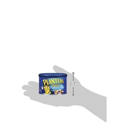 Planters Lightly Salted Cashews Pieces, 8 Oz