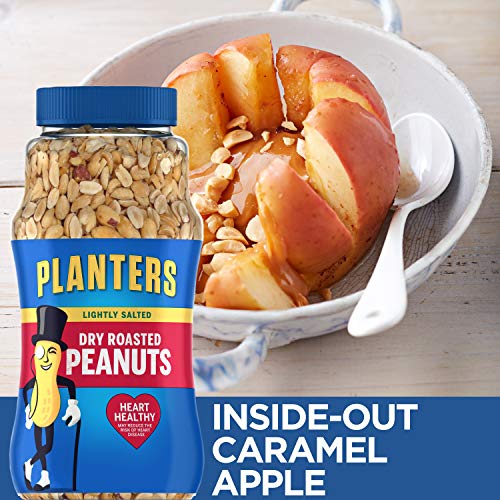 Planters Lightly Salted Dry Roasted Peanuts, 16.0 Oz Jar Pack O