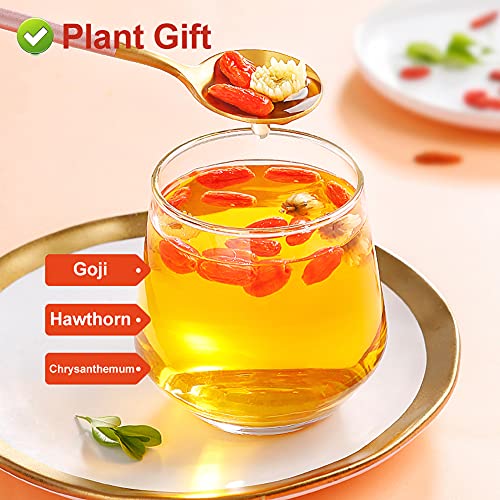 Plantgift Goji Berries 125G/4.4Oz 枸杞 For Baking &Amp; Teas, Smooth